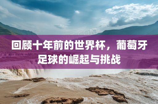 回顾十年前的世界杯，葡萄牙足球常熟市高丰毛纺织品有限公司的崛起与挑战
