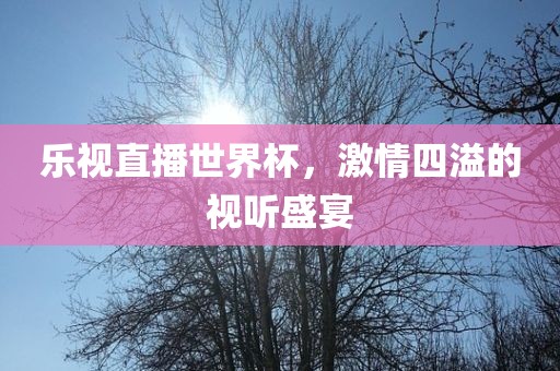 乐视直播世界杯，激情四溢的视听盛宴常熟市高丰毛纺织品有限公司