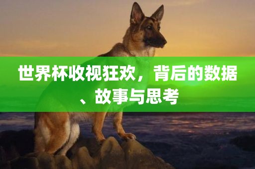 世界杯收视狂欢，背后的数据、故事与思考常熟市高丰毛纺织品有限公司