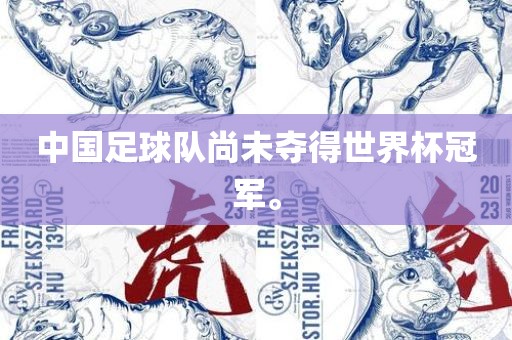 中国足球队尚未夺得世界杯冠军。