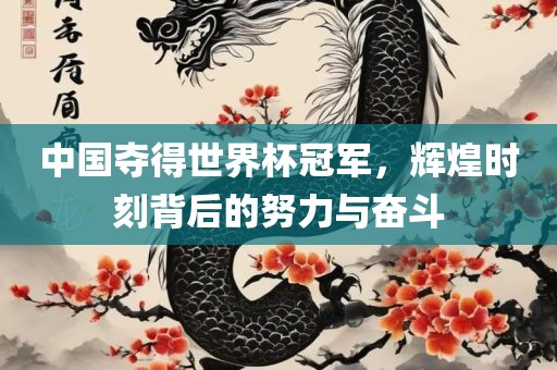 中国夺得世界杯冠军，辉煌时刻背后的努力与奋斗常熟市高丰毛纺织品有限公司