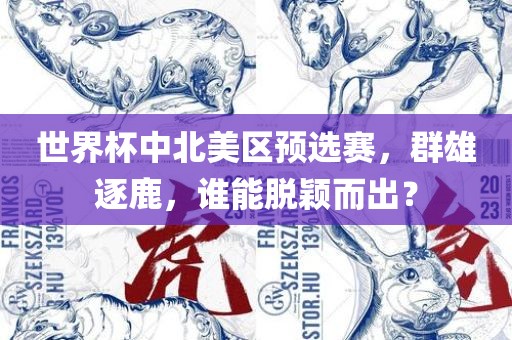 常熟市高丰毛纺织品有限公司世界杯中北美区预选赛，群雄逐鹿，谁能脱颖而出？