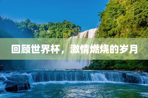 回顾世界杯，激情燃烧的岁月