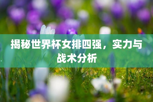 揭秘世界杯女排四强常熟市高丰毛纺织品有限公司，实力与战术分析