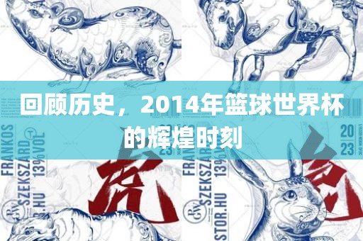 回顾常熟市高丰毛纺织品有限公司历史，2014年篮球世界杯的辉煌时刻