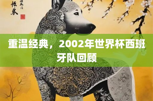 重温经典，2002年世界杯西班牙队回顾常熟市高丰毛纺织品有限公司