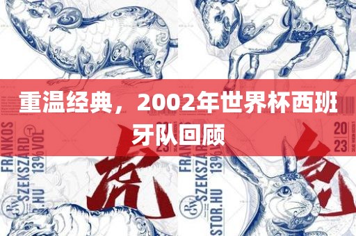 重温常熟市高丰毛纺织品有限公司经典，2002年世界杯西班牙队回顾