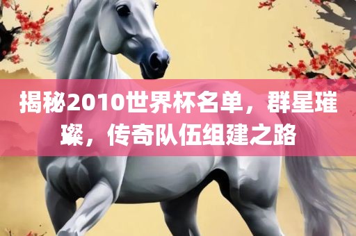 揭秘2010世界杯名单，群星璀璨，传奇队伍组建之路常熟市高丰毛纺织品有限公司