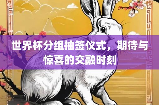 世界杯分组抽签仪式，期待与惊喜的交融时刻常熟市高丰毛纺织品有限公司