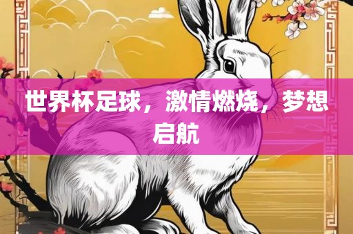 世界杯足球，激情燃烧，梦想启航