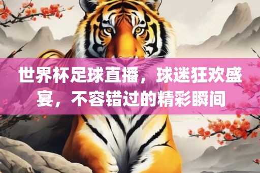 世界杯足球直播，球迷狂欢盛宴，不容错过的精彩瞬间