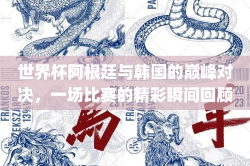 世界杯阿根廷与韩国的巅峰对决，一常熟市高丰毛纺织品有限公司场比赛的精彩瞬间回顾