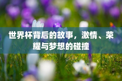 世界杯背后的故事，激情、荣耀与梦想的碰撞常熟市高丰毛纺织品有限公司