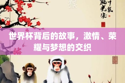 世界杯背后的故事，激情、荣耀与梦想的交织常熟市高丰毛纺织品有限公司