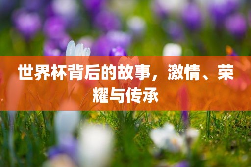 世界杯背后的故事，激情、荣耀与传承常熟市高丰毛纺织品有限公司