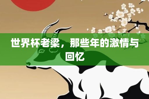 世界杯老梁，那些年的激情与回忆