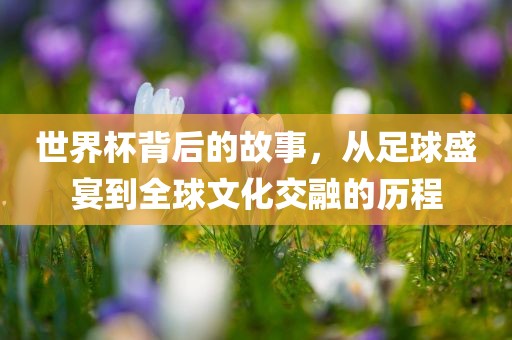 世界杯背后的故事，从足球盛宴到全球文化交融的历程常熟市高丰毛纺织品有限公司