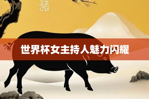 世界杯女主持人魅力闪耀