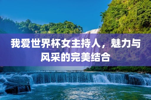 我爱世界杯女主持人，魅力与风采的完美结合