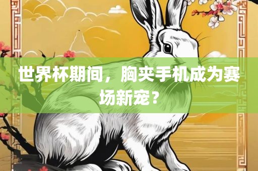 世界杯期间，胸夹手机成为赛场新宠？常熟市高丰毛纺织品有限公司