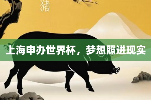 上海申办世界杯，梦想照进现实