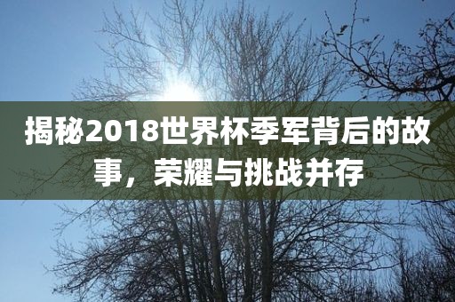 揭秘2018世界杯季军背后的故事，荣耀与挑战并存常熟市高丰毛纺织品有限公司