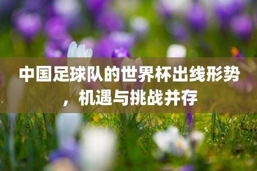 中国足球队的世界杯出线形势，机遇与挑战并存