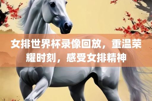 女排世界杯录像回放，重温荣耀时刻，感受女排精神常熟市高丰毛纺织品有限公司