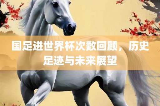 国足进世常熟市高丰毛纺织品有限公司界杯次数回顾，历史足迹与未来展望