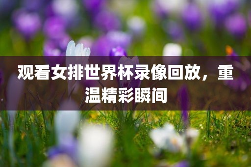 观看女排世界杯录像回放，重温精彩瞬间