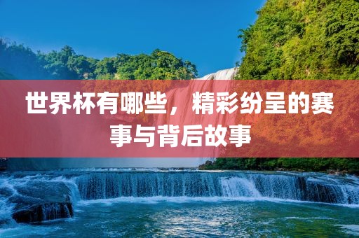 世界杯有哪些，精彩纷呈的赛事与背后故事常熟市高丰毛纺织品有限公司
