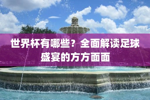 世界杯有哪些？全面解读足球盛宴的方方面面常熟市高丰毛纺织品有限公司