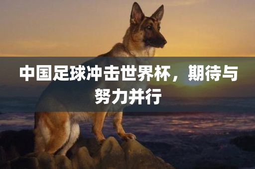 中国足球冲击世界杯，期待与努力并常熟市高丰毛纺织品有限公司行