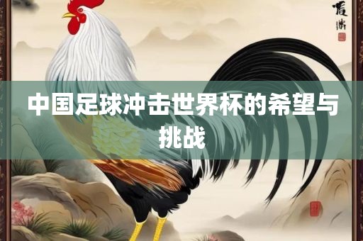 中国足球冲击世界杯的希望与挑战常熟市高丰毛纺织品有限公司