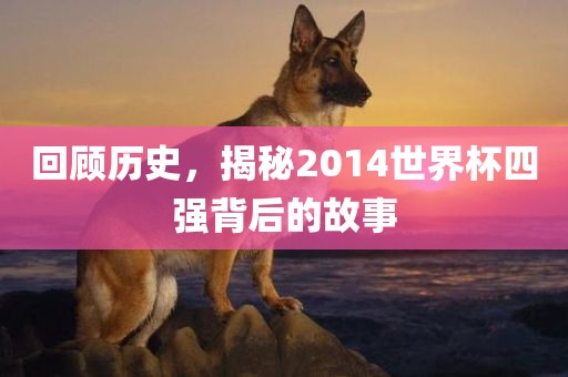回顾历史，揭秘2014世界杯四强背后的故事