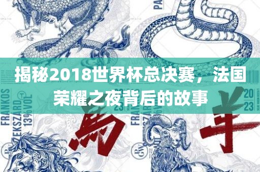 揭秘2018世界杯总决赛，法国荣耀之夜背后的故事常熟市高丰毛纺织品有限公司