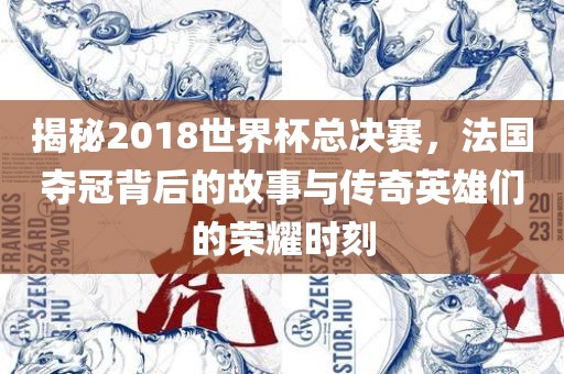 揭秘2018世界杯总决赛，法国夺冠背后的故事与传奇英雄们的荣耀时刻常熟市高丰毛纺织品有限公司