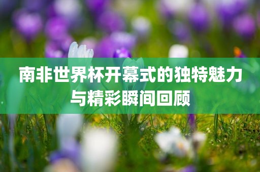 南非世界杯开幕式的独特魅力与精彩瞬间回顾