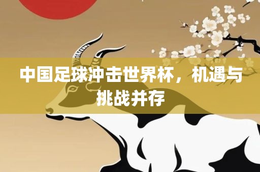 中国足球冲击世界杯，机遇与挑战并存