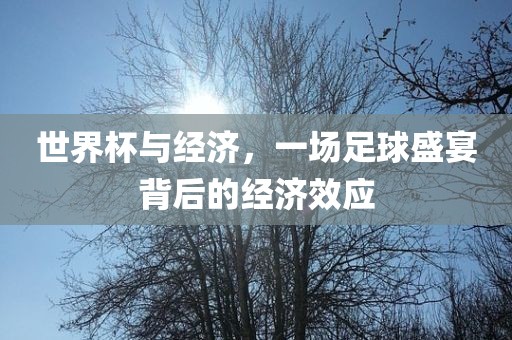 世界杯与经济，一场足球盛宴背后的经济效应常熟市高丰毛纺织品有限公司