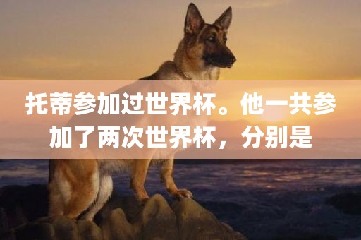 托蒂参加过世界杯。他一共参加了两次世界杯，分别是常熟市高丰毛纺织品有限公司