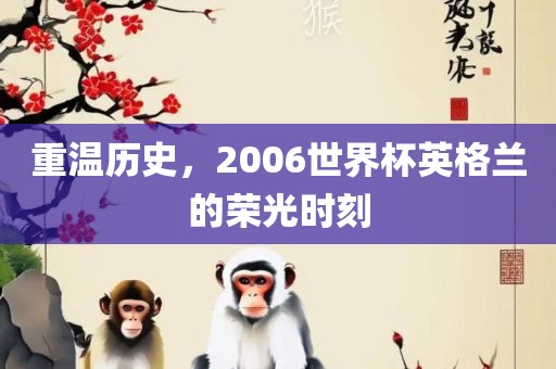 重温历史，2006世界杯英格兰的荣光时刻常熟市高丰毛纺织品有限公司
