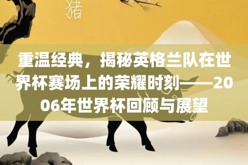 重温经典，揭秘英格兰队在世界杯赛场上的荣耀时刻——2006年世界杯回顾与展望