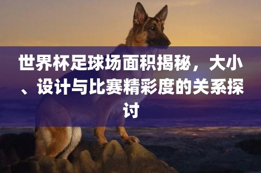 世界杯足球场面积揭秘，大小、设计与比赛精彩度的关系探讨