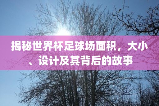 揭秘世界杯足球场面积，大小、设计及其背后的故事