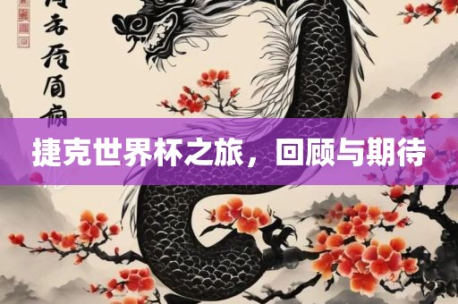 捷克世界杯之旅，回顾与期待常熟市高丰毛纺织品有限公司