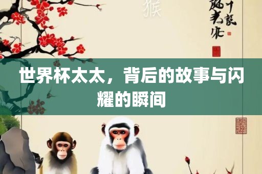 世界杯太太，背后的故事与闪耀的瞬间常熟市高丰毛纺织品有限公司