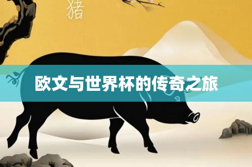 欧文与世界杯的传奇之旅
