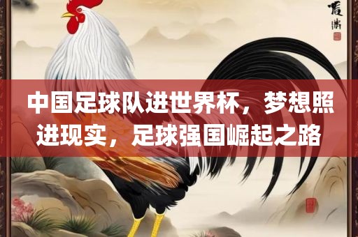 中国足球队进世界杯，梦想照进现实，足球强国崛起之路常熟市高丰毛纺织品有限公司