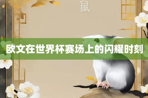 欧文在世界杯赛场上的闪耀时刻